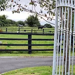 B&B Silvi's Borris Carlow *
