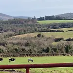 Silvi's Borris Carlow * Lissalican