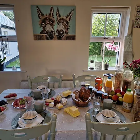 Bed & Breakfast Silvi's Borris Carlow