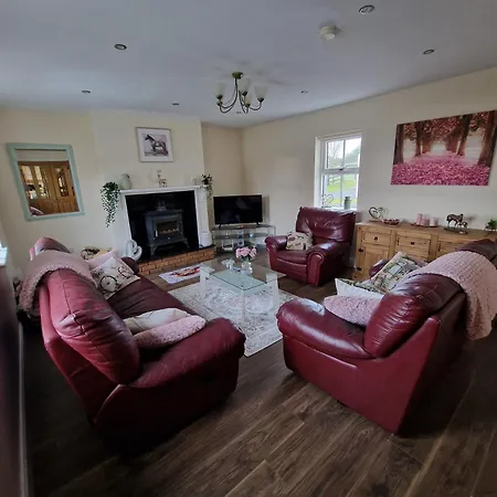 Silvi's Borris Carlow Alojamento de Acomodação e Pequeno-almoço Lissalican