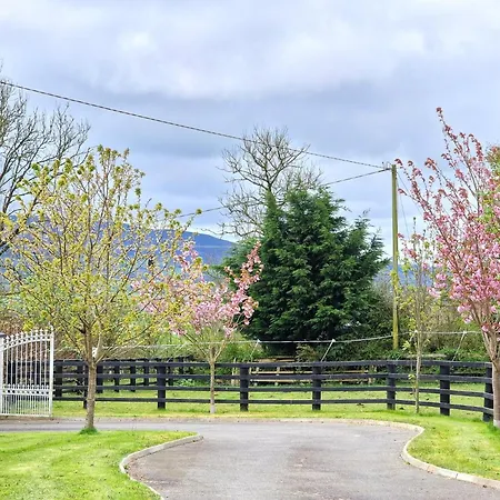 Alojamento de Acomodação e Pequeno-almoço Silvi's Borris Carlow Lissalican