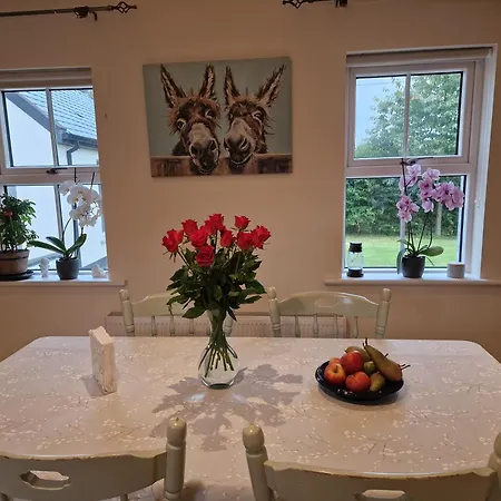 Silvi's Borris Carlow *