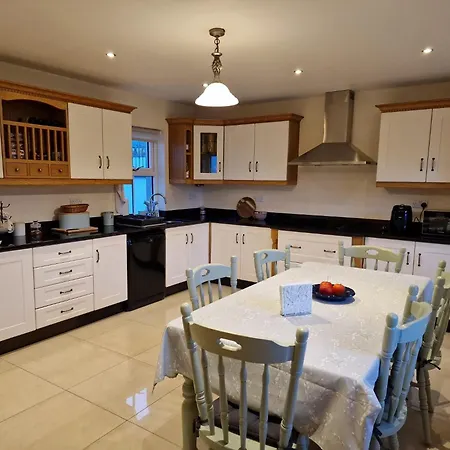 Silvi's Borris Carlow Lissalican