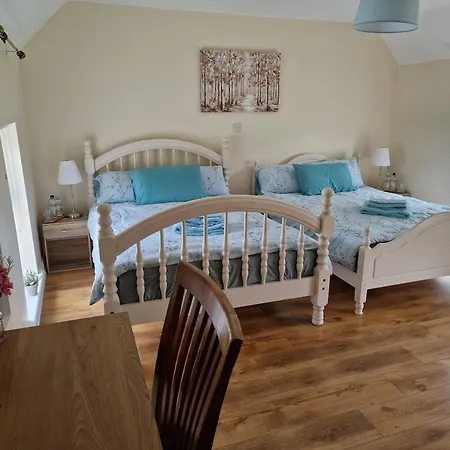 Silvi's Borris Carlow