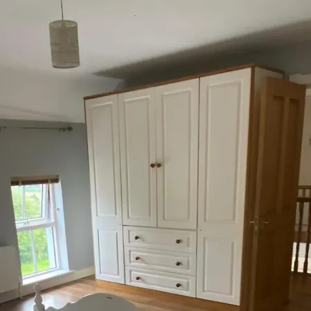 Silvi's Borris Carlow Panzió *