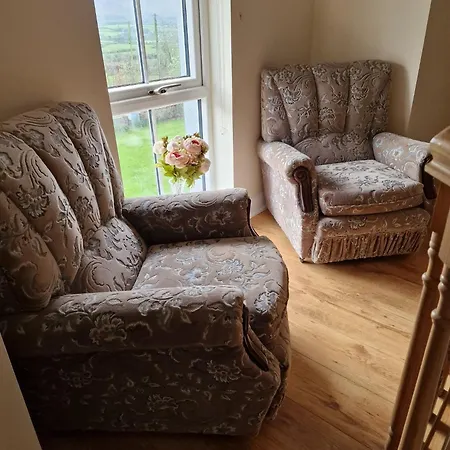 Bed & Breakfast Silvi's Borris Carlow Lissalican
