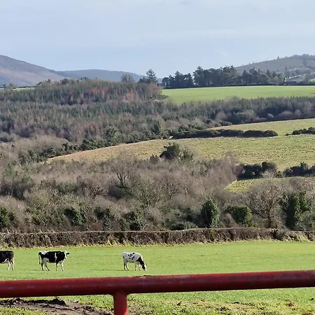 Silvi's Borris Carlow * Lissalican