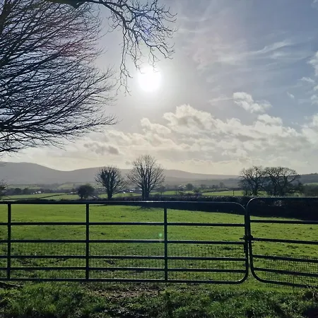 Silvi's Borris Carlow Panzió