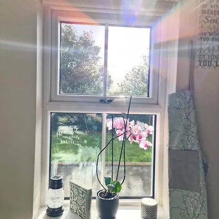 Silvi's Borris Carlow