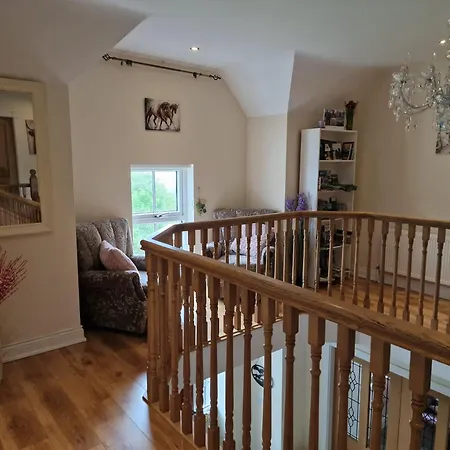 Silvi's Borris Carlow