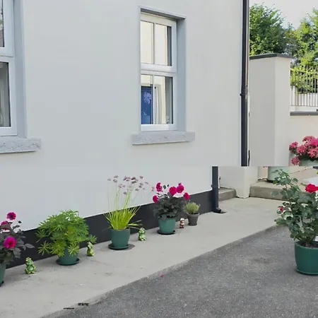 Panzió Silvi's Borris Carlow