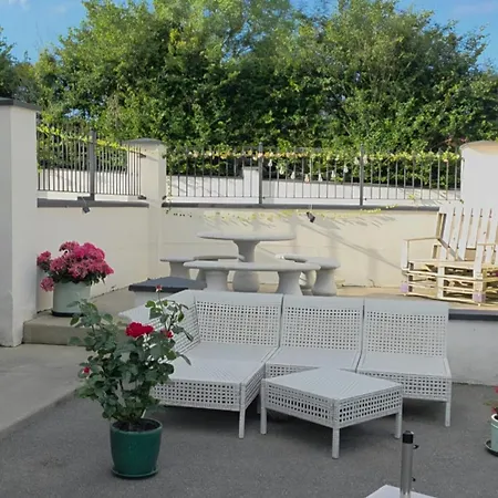Silvi's Borris Carlow *
