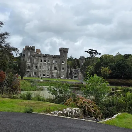 Panzió Silvi's Borris Carlow Lissalican