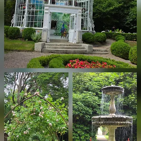 Panzió Silvi's Borris Carlow *