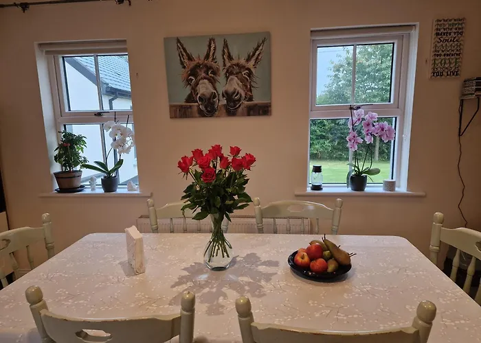 Silvi's Borris Carlow *