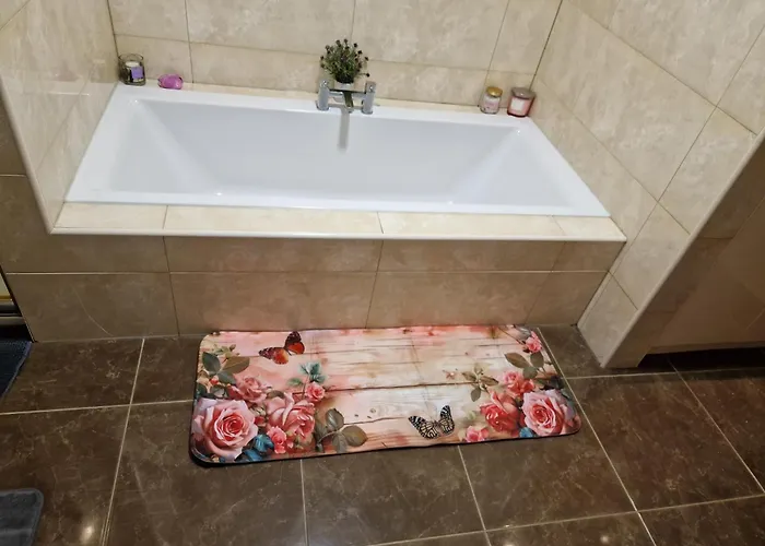 Silvi's Borris Carlow * Lissalican