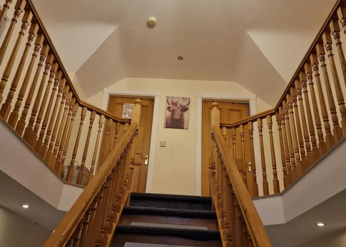 Silvi's Borris Carlow * Lissalican