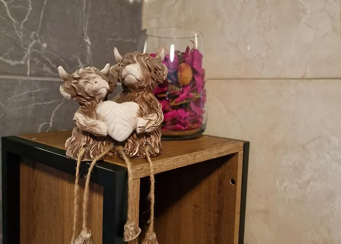 Alojamento de Acomodação e Pequeno-almoço Silvi's Borris Carlow Lissalican