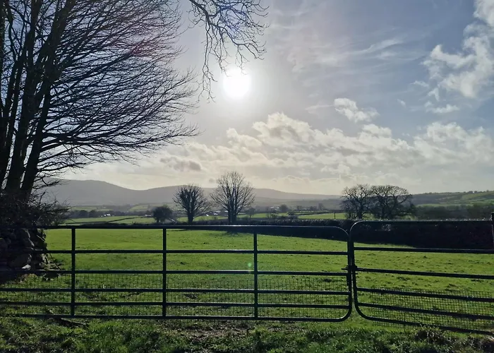 Silvi's Borris Carlow Alojamento de Acomodação e Pequeno-almoço